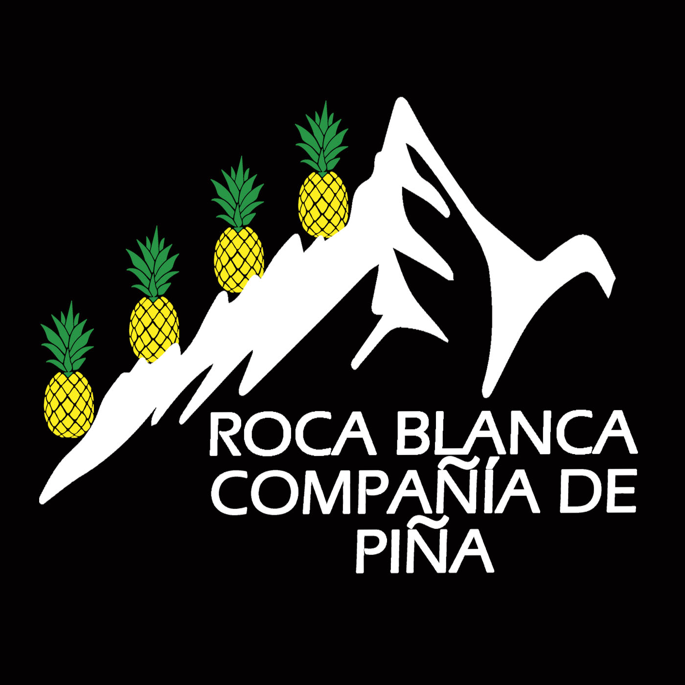 Sponsor 4
